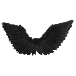 Feather Wings Up - Black - Image 4