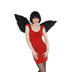 Feather Wings Up - Black - Image 6